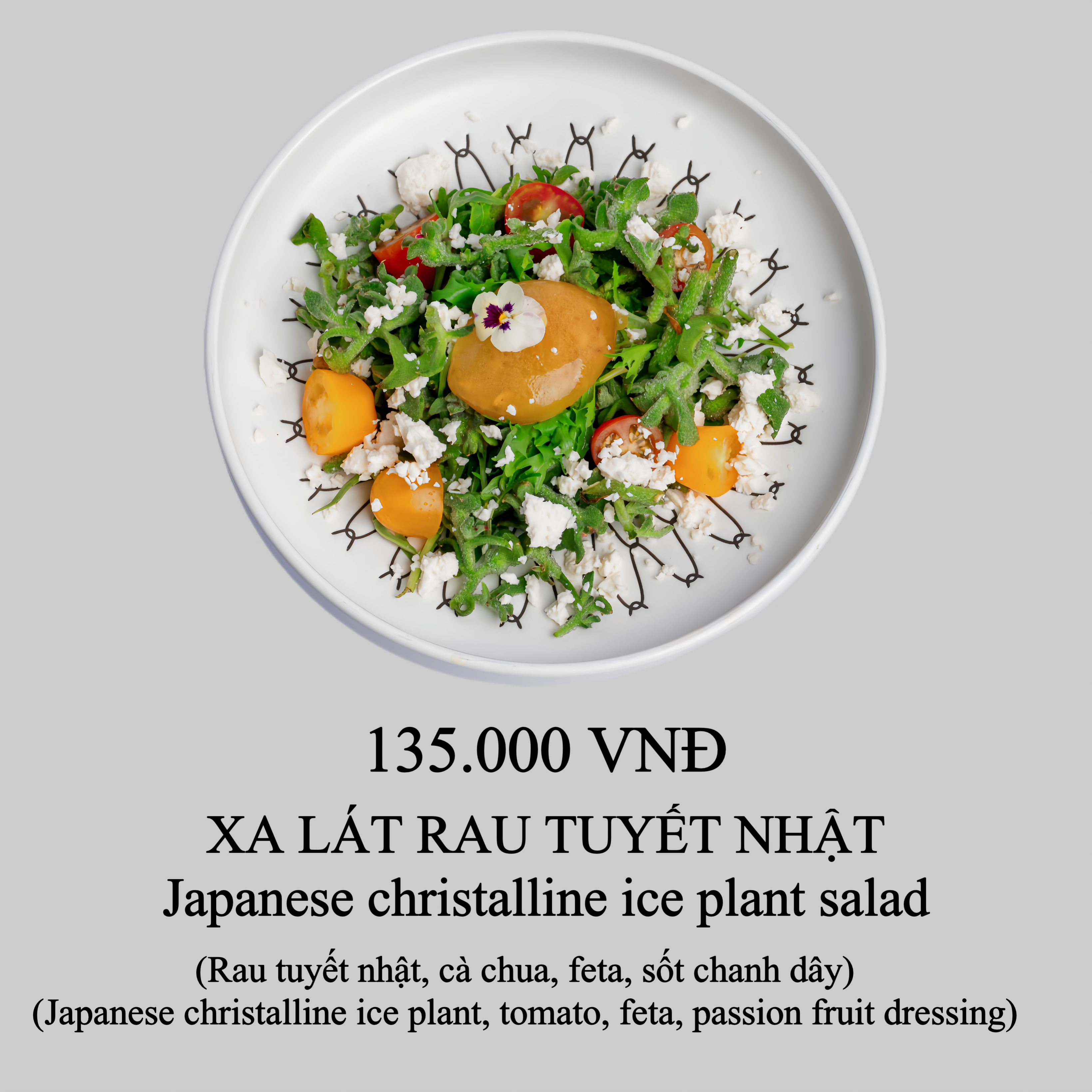 Salad tuyết chay